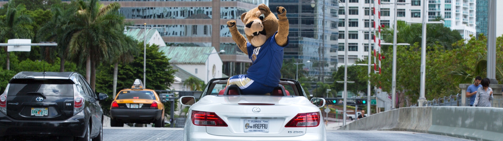 FIU License Plate - FIU Parking - Florida International University