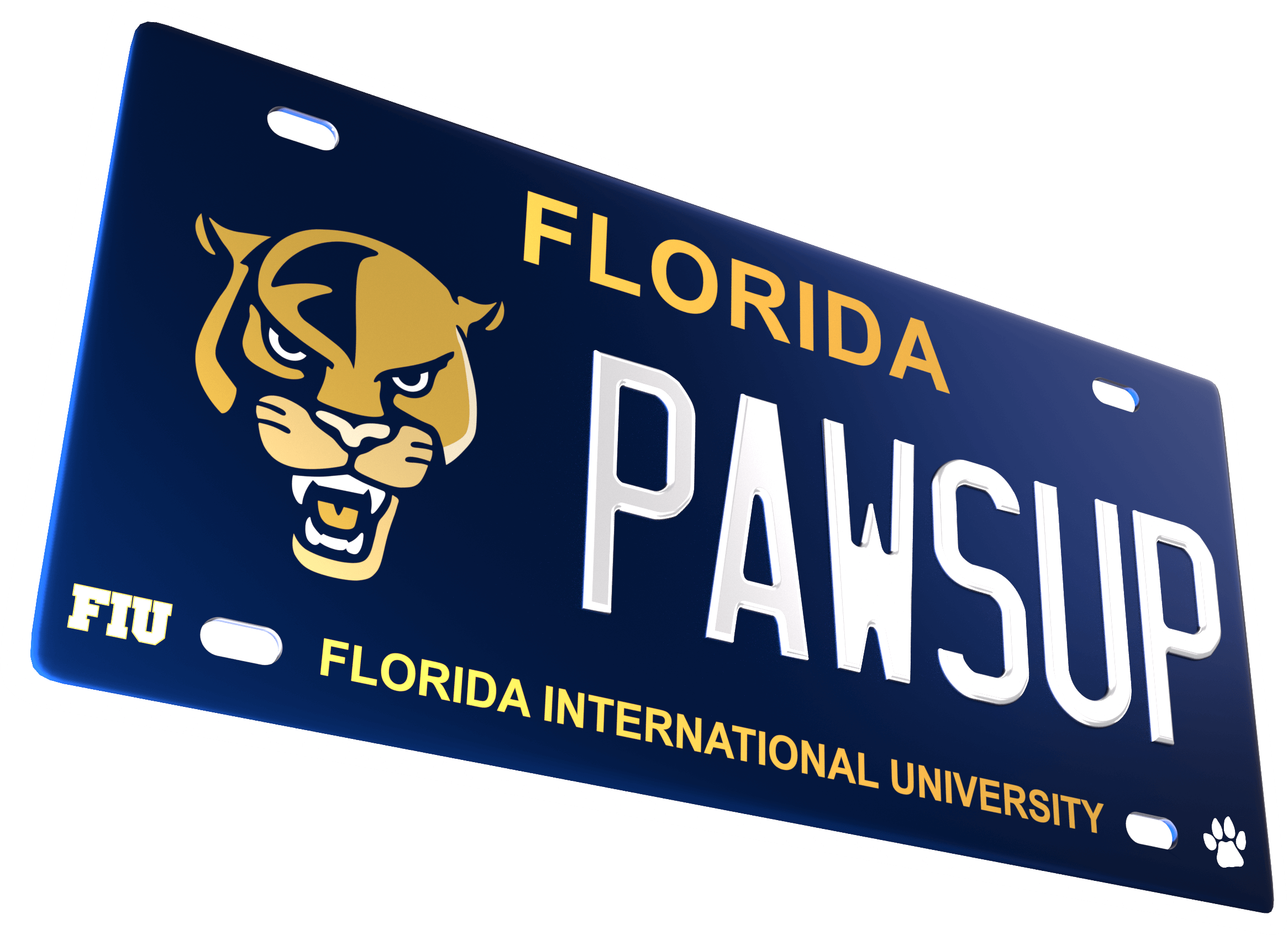 FIU license plate